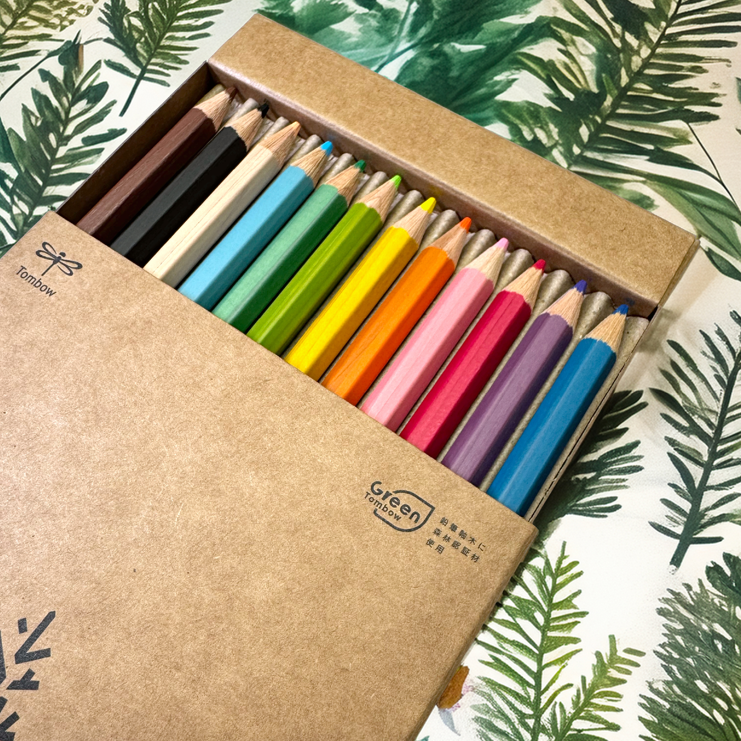 KiMonogatari Colored pencils IG