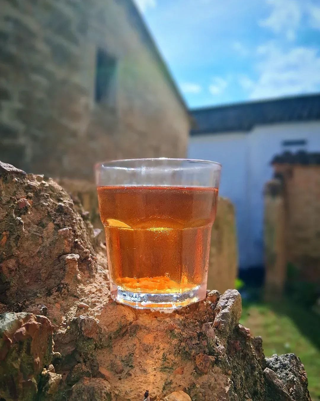 WhatsApp Image 2026-02-03 at 3.45.44 AM